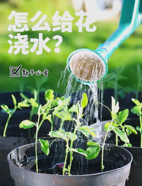 梦见浇水背后的象征意义，解梦探寻潜藏的内心渴望！