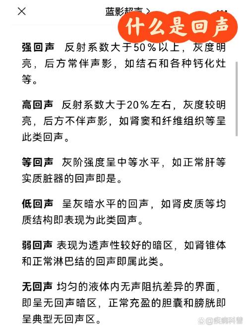 梦见回声的象征意义解析心理暗示 vs 预示未来？