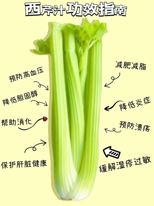 解梦指南梦见西芹预兆及心理分析的高效解决方案 解梦指南梦见西芹预兆及心理分析的高效解决方案