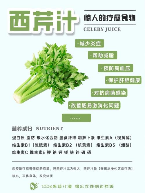 解梦指南梦见西芹预兆及心理分析的高效解决方案 解梦指南梦见西芹预兆及心理分析的高效解决方案