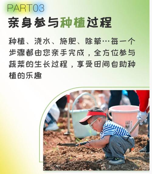 梦见种地后的惊人启示,深度解析背后寓意! 梦见种地后的惊人启示,深度解析背后寓意!