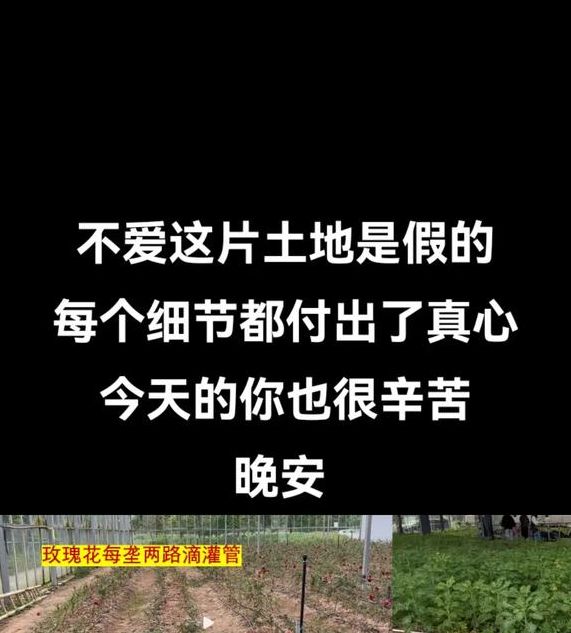梦见种地后的惊人启示,深度解析背后寓意! 梦见种地后的惊人启示,深度解析背后寓意!