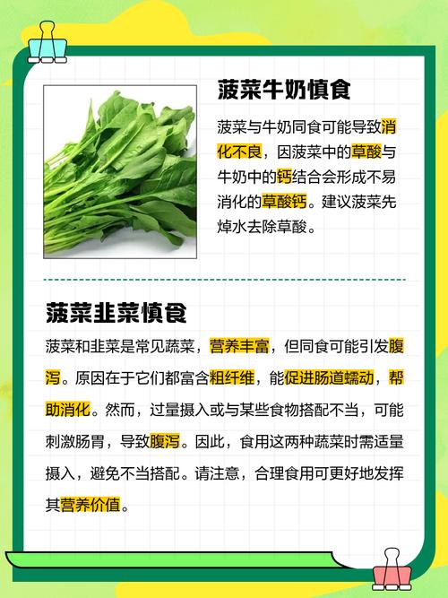 梦见菠菜的深层含义心理解析与健康提示 梦见菠菜的深层含义心理解析与健康提示