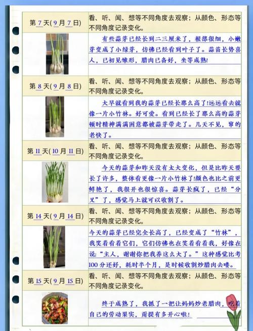 梦见蒜头满地的象征意义及其生活启示解析 梦见蒜头满地的象征意义及其生活启示解析