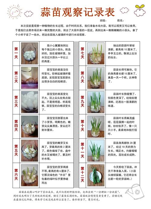 梦见蒜头满地的象征意义及其生活启示解析 梦见蒜头满地的象征意义及其生活启示解析