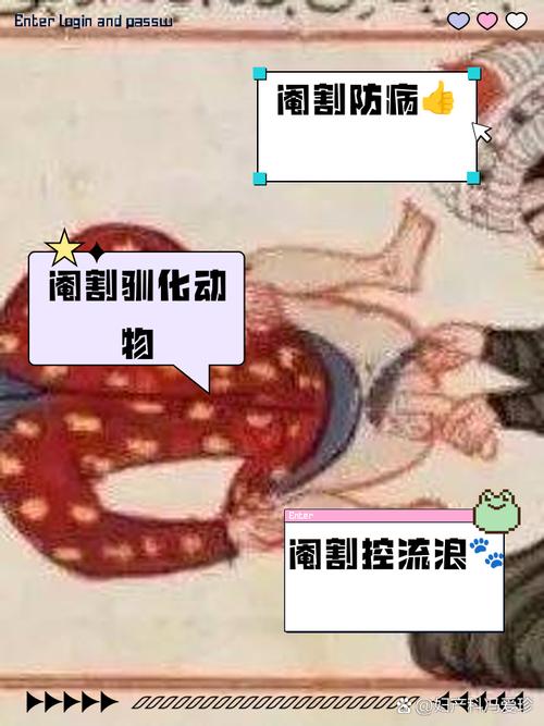 梦见阉割 vs 梦见自由解读梦境背后的心理暗示