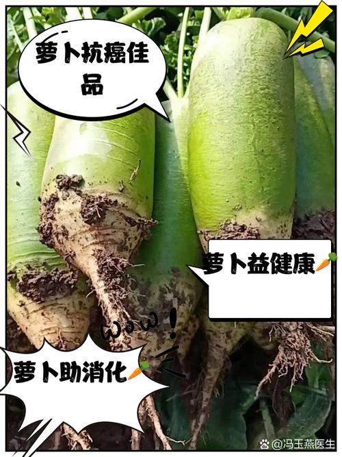 梦见萝卜干预示生活变化？解读背后的心理暗示和生活启示