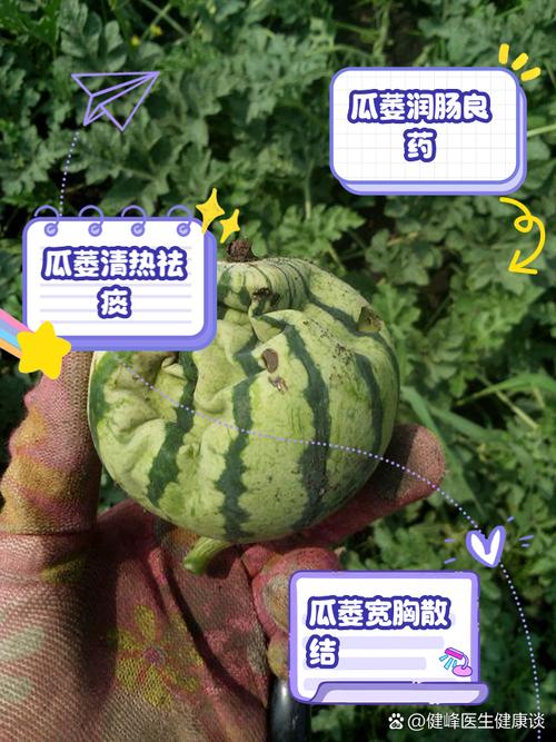 解析梦见腐烂瓜类的7个心理学解释与影响