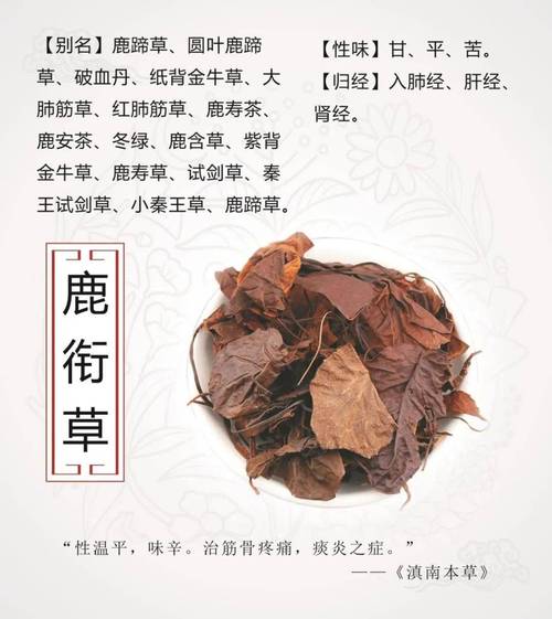 梦见草药的神秘寓意，竟然暗藏这些人生启示！