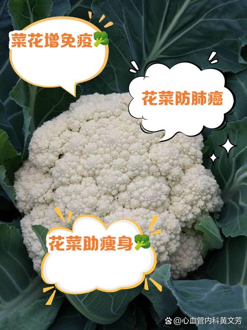 梦见花菜预示哪些？深入解析背后的心理与象征意义