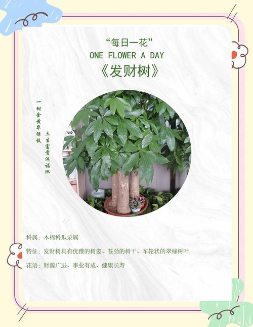揭秘梦见栽树象征意义，提升运势的秘密技巧