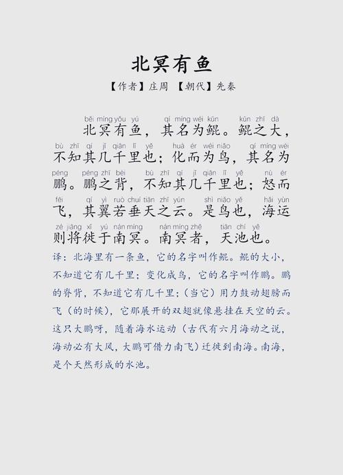 解梦解析8种梦见北极的深层含义与象征