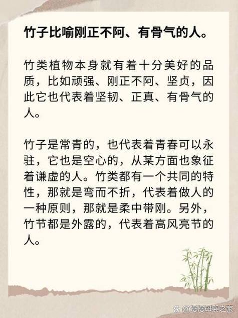 解读梦见竹竿的5个象征意义，提升自我认知
