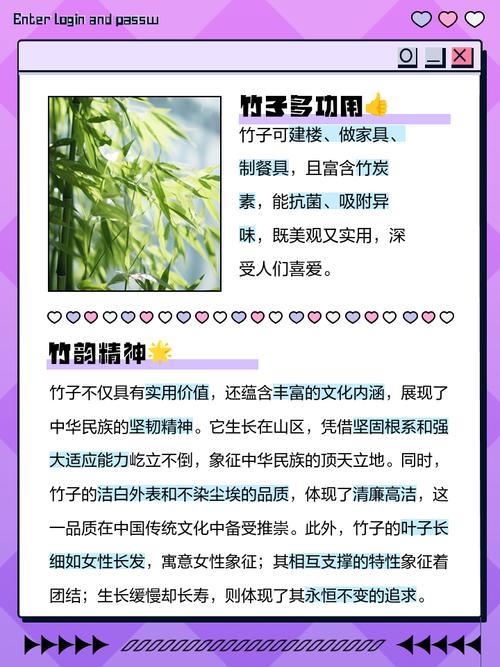 解读梦见竹竿的5个象征意义，提升自我认知