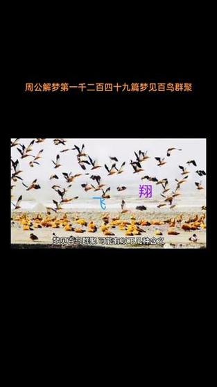 梦见百鸟群聚有何寓意？解读梦境背后的深层含义！