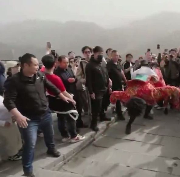游戏翻译事故频发，甲亢哥现场反应引爆全场，原因竟是这个词？
