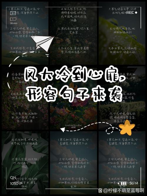 梦见冷风的深层寓意解析，网友揭示内心潜藏情感世界！