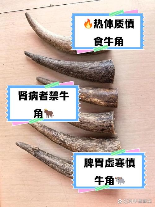 梦见牛角解读7大心理暗示与专家建议