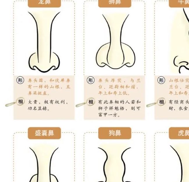 如何解梦梦见鼻孔的3个心理学解释与权威建议