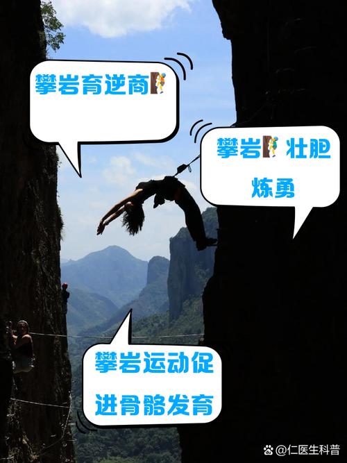 梦见爬上松树与攀岩梦境解析心理暗示与现实影响对比