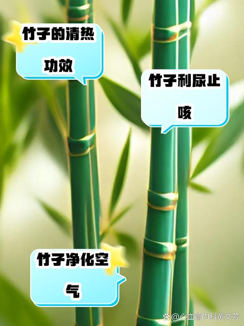 梦见竹竿解析心理暗示与生活预兆哪个更可靠？