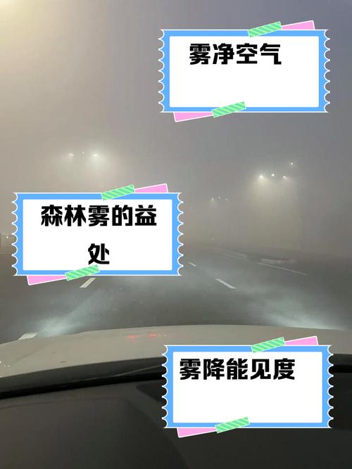 梦见大雾原因解析了解心理暗示提升生活质量 梦见大雾原因解析了解心理暗示提升生活质量