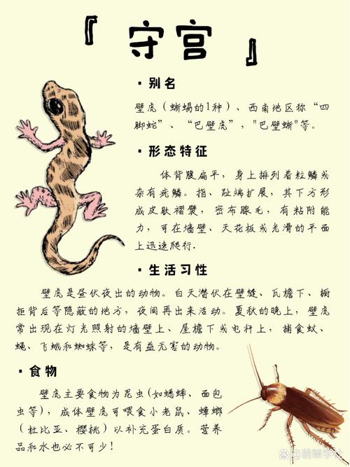 梦见蜥蜴的5个心理解读专家带你洞察深层含义 梦见蜥蜴的5个心理解读专家带你洞察深层含义
