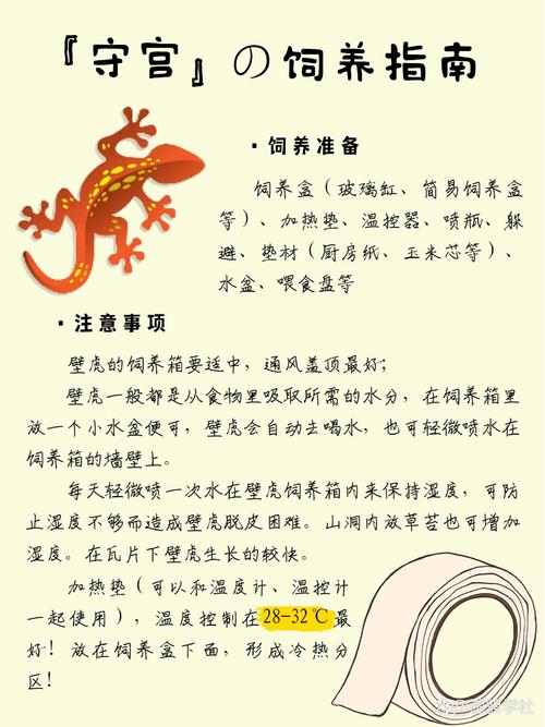 梦见蜥蜴的5个心理解读专家带你洞察深层含义 梦见蜥蜴的5个心理解读专家带你洞察深层含义