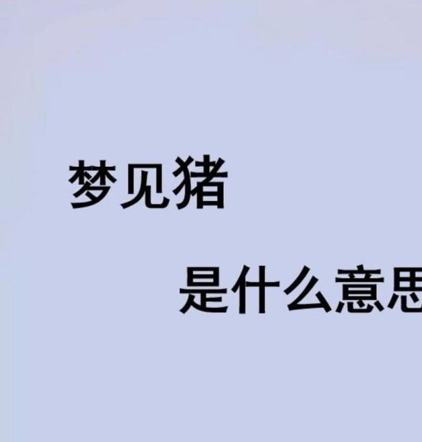 梦见与猪一起玩耍代表哪些？解读梦境背后的心理暗示