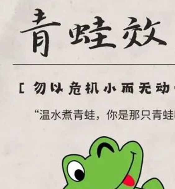 解梦青蛙象征发现生活中的隐藏机遇与挑战