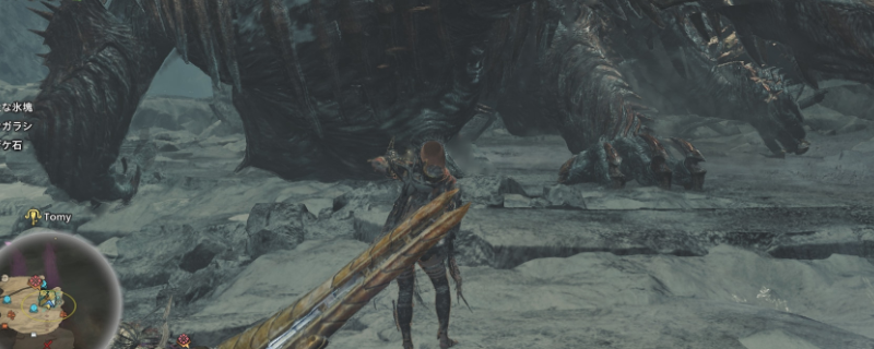 骑乘技艺大提升：怪物猎人：荒野攻略助您掌控怪物