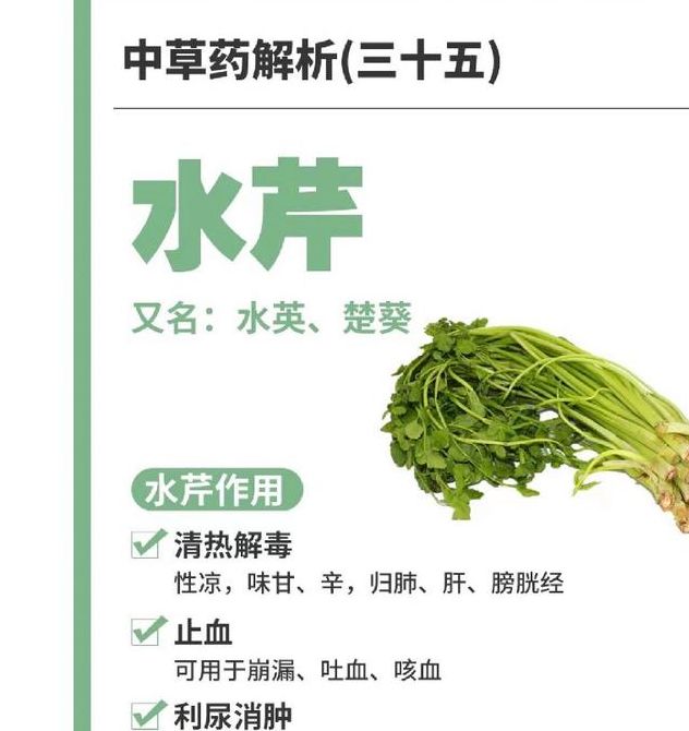 梦见水芹菜象征意义解析心理暗示 vs 现实启示