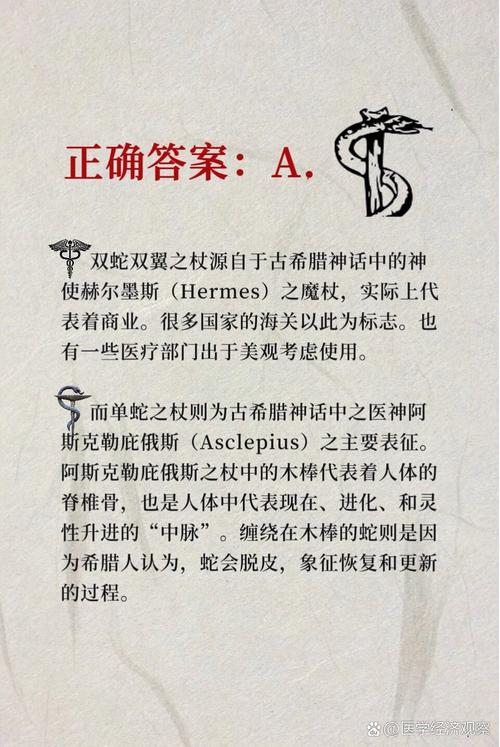 梦见蛇杖的深意解析潜意识中的象征与高效解决方案