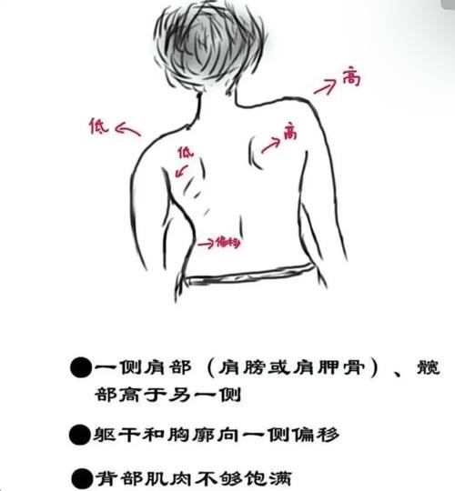 梦见肩骨解析心理暗示对比身体预兆,你了解多少? 梦见肩骨解析心理暗示对比身体预兆,你了解多少?