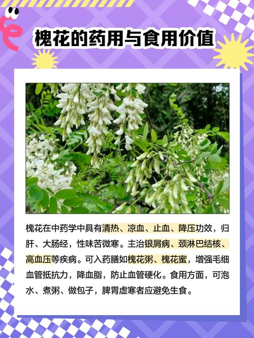 梦见槐花解析好运预兆与现实启示的比较分析