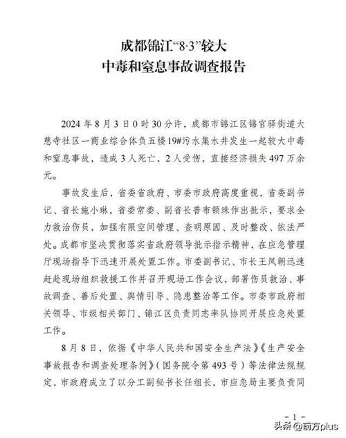 成都调查报告出炉：盲目施救缘何致3死2伤？解析安全隐患与解决方案