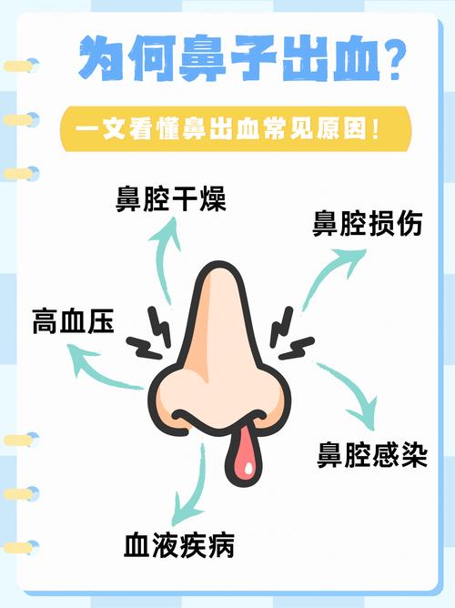 梦见鼻孔解析专家揭示3个不可忽视的象征意义
