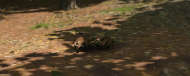 探秘刺客信条：影赤狐幼崽墨绘位置——解锁独特宠物，提升游戏体验