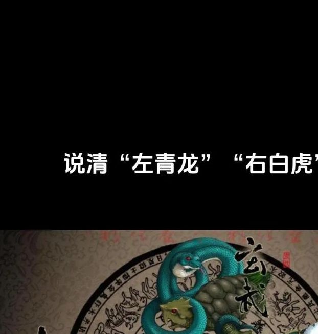 梦见青龙与白虎解读睡梦中的神秘象征与含义