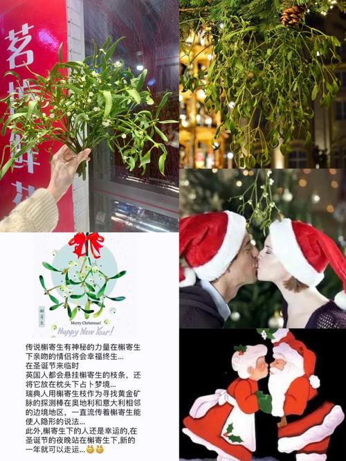 梦见槲寄生意味着哪些？解锁梦境背后的深层意义！