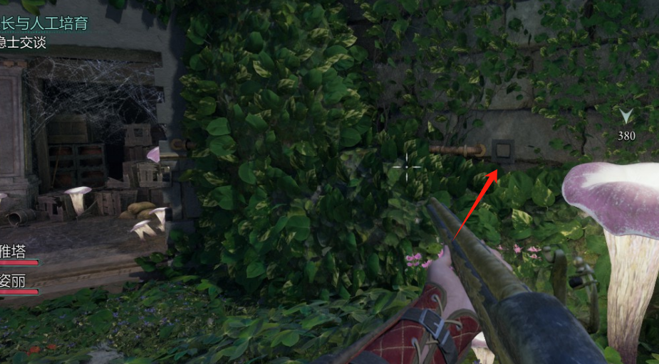 黎明湾藏宝图详细位置揭秘 | 单游攻略高效解决方案