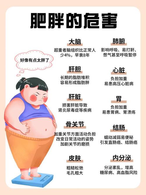 梦见肥胖的深层寓意,探索心理反映与健康提示! 梦见肥胖的深层寓意,探索心理反映与健康提示!