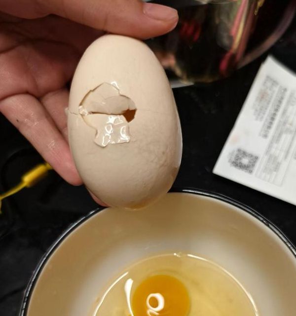 梦见捡到很多鸡蛋象征寓意，深入解析好运财富与生活新篇章！