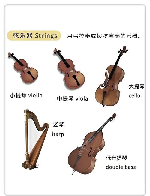 梦见弹弦乐器的深层心理剖析揭示内心渴望与情感共鸣！