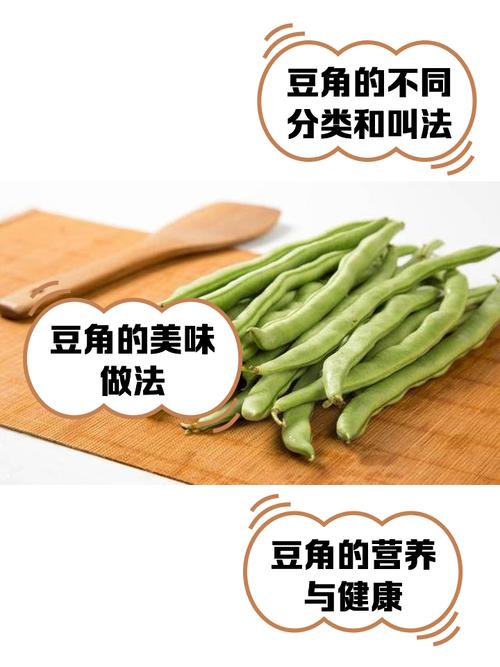 梦见豆角解析深度心理解读与生活启示，助您心灵成长