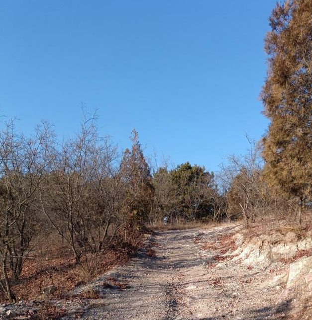 梦见碎石子路解析心理暗示 vs 生活预兆,如何解读? 梦见碎石子路解析心理暗示 vs 生活预兆,如何解读?