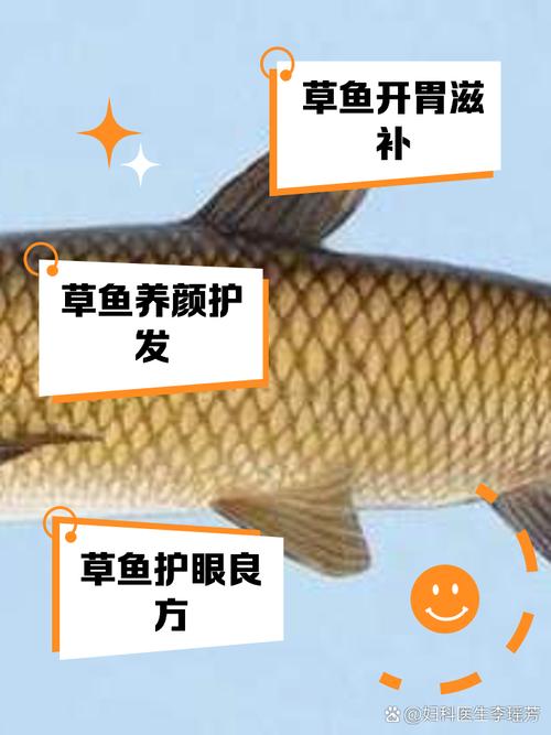 梦见草鱼寓意深远你了解其中的财富象征吗? 梦见草鱼寓意深远你了解其中的财富象征吗?