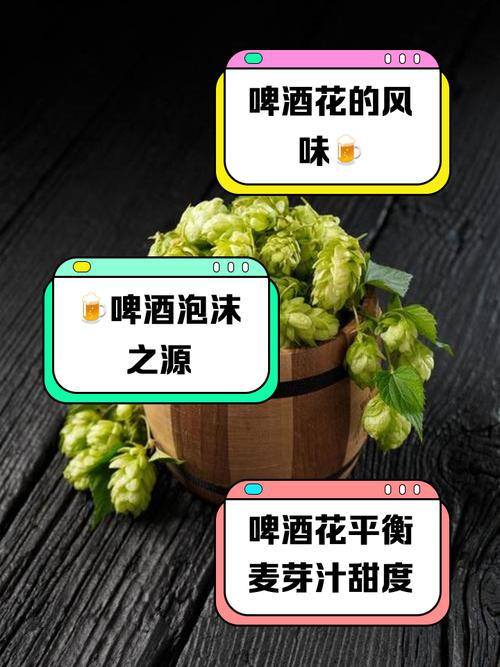 梦见啤酒花暗藏寓意，解读梦境象征与心理分析！