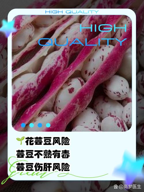 梦见芸豆暗示了哪些？解读梦境背后的深层意义与启示