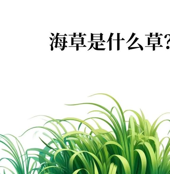 梦见海草的象征意义及解读，助你洞察潜意识奥秘